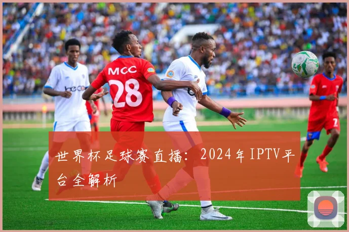 世界杯足球赛直播:2024年IPTV平台全解析