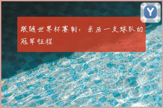 跟随世界杯赛制，亲历一支球队的冠军征程