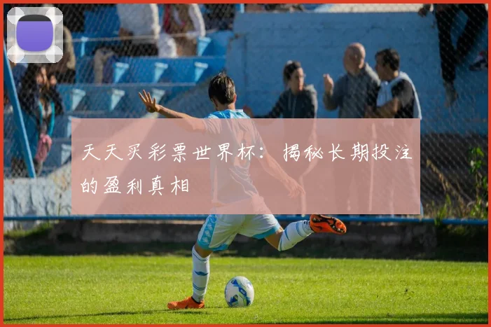 天天买彩票世界杯：揭秘长期投注的盈利真相