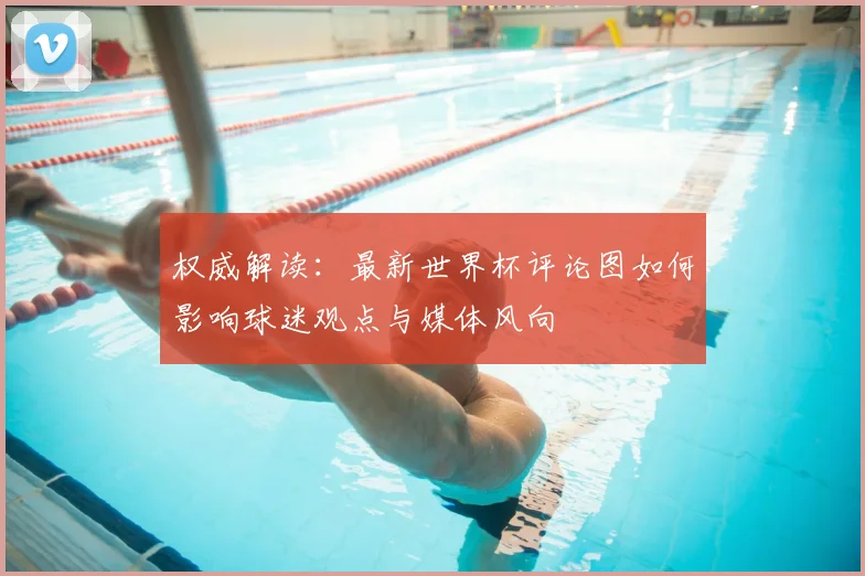 权威解读：最新世界杯评论图如何影响球迷观点与媒体风向