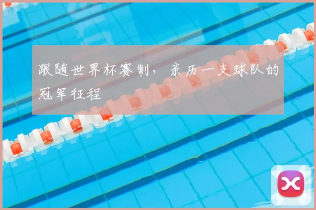 跟随世界杯赛制，亲历一支球队的冠军征程