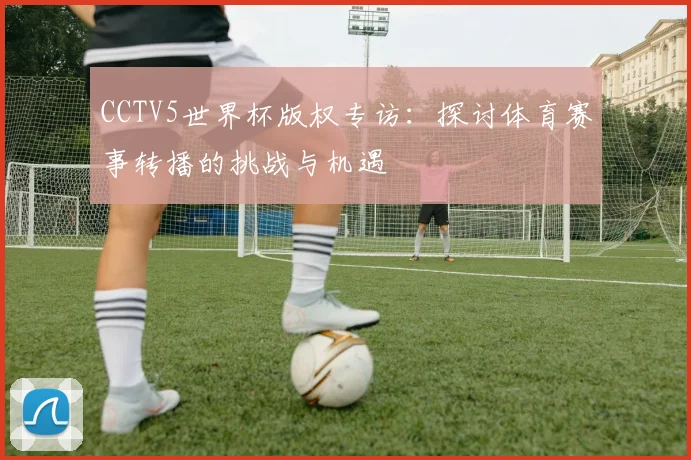 CCTV5世界杯版权专访：探讨体育赛事转播的挑战与机遇